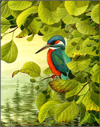 Серия "Птицы" - лето, птицы - оригинал