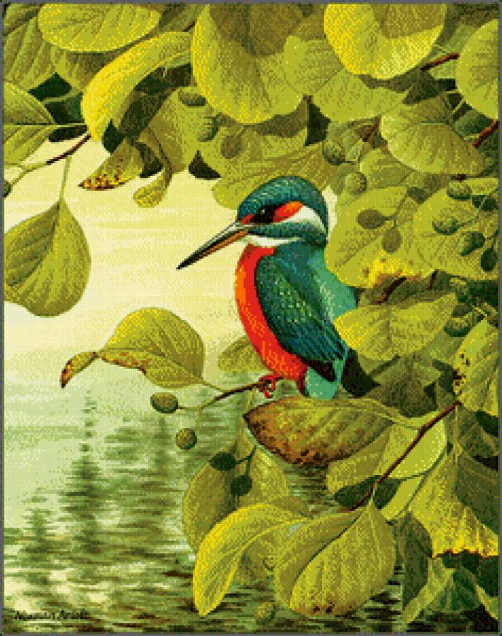 Серия "Птицы" - лето, птицы - предпросмотр