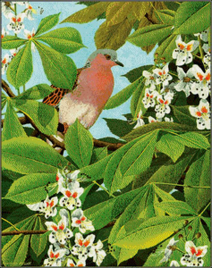 Серия "Птицы" - цветы, птицы - предпросмотр