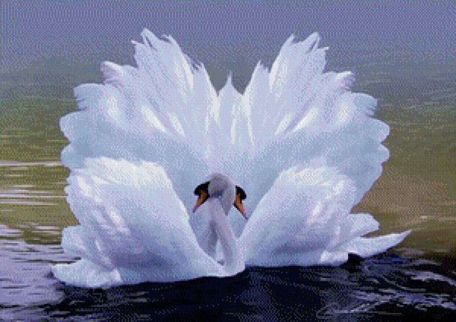 Верность - предпросмотр