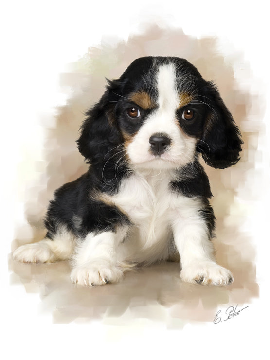 №479768 - eduard peter, живопись, собака, животные - оригинал