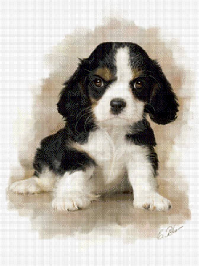 №479768 - eduard peter, животные, живопись, собака - предпросмотр