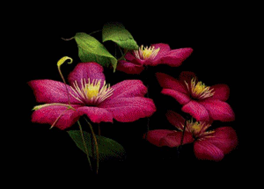 Цветы - цветы, на черном - предпросмотр