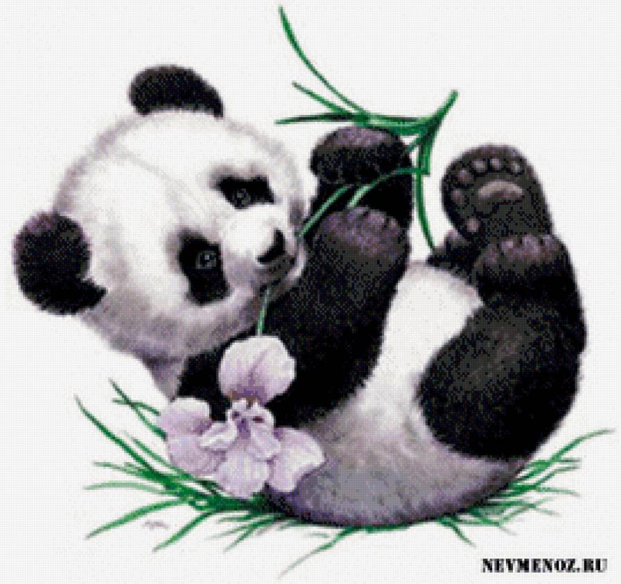 Детеныш панды - животные, панда - предпросмотр