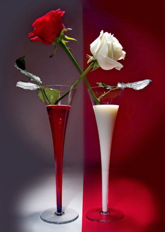 Красное и белое - бокалы, розы, вазы, роза - оригинал