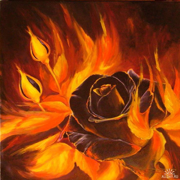 Огненная роза*3 - роза, розы, огонь - оригинал