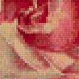 Предпросмотр схемы вышивки «РОЗЫ» (№480134)