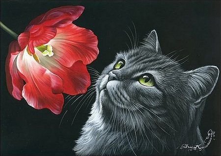 котик - кошка, кот, монохром, тюльпан, цветок - оригинал