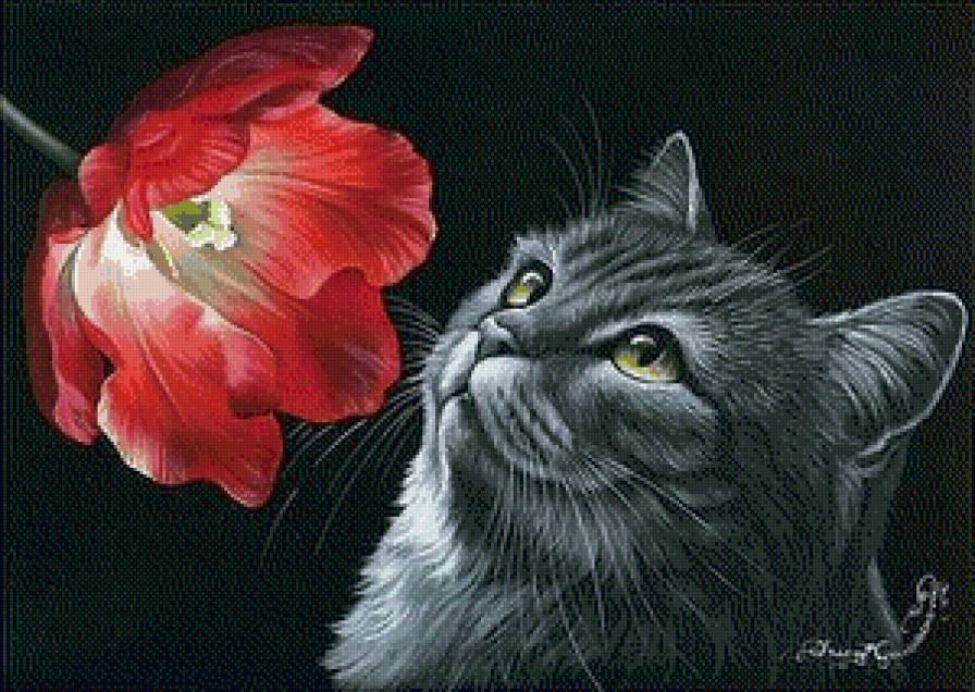 котик - цветок, кошка, монохром, кот, тюльпан - предпросмотр
