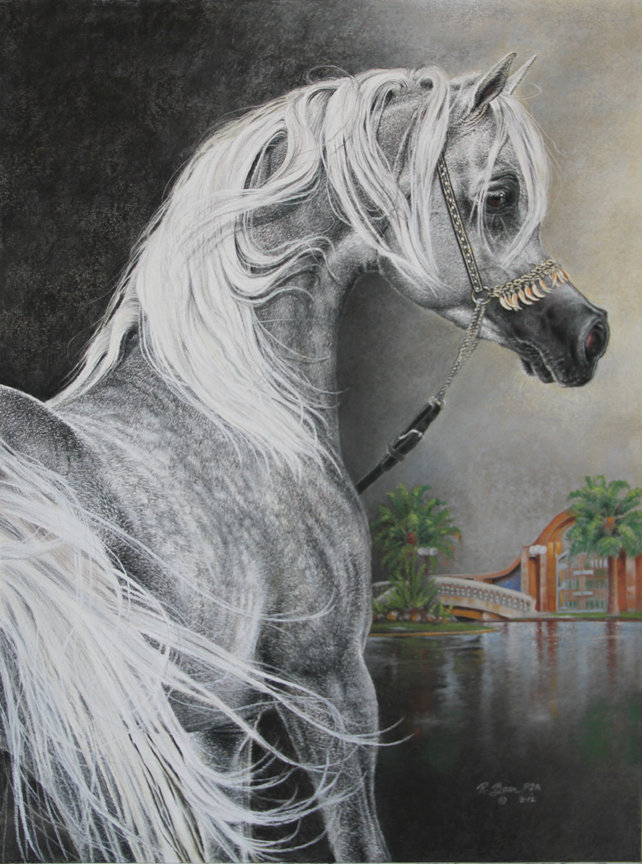 красивые лошади (подборка) - кони, арабские лошади, красиво, домашние животные, живопись - оригинал