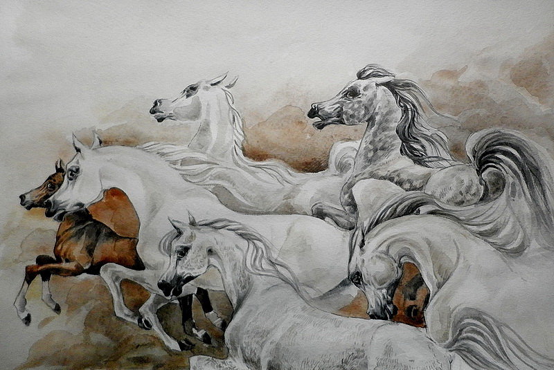 красивые лошади (подборка),бегущий табун лошадей - домашние животные, живопись, кони, красиво, арабские лошади - оригинал