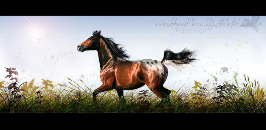 гнедой - домашние животные, кони, красиво - оригинал