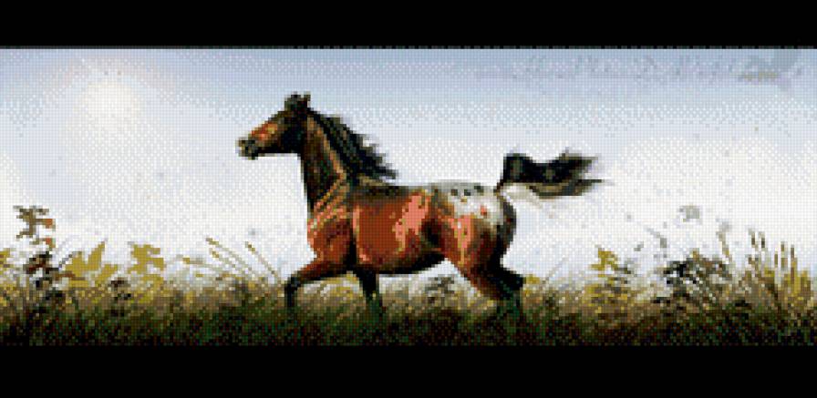 гнедой - домашние животные, кони, красиво - предпросмотр