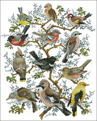 Птицы - птицы - оригинал