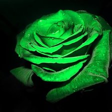 Схема вышивки «№480406»