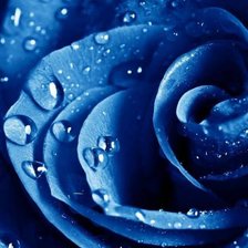 Схема вышивки «№480409»