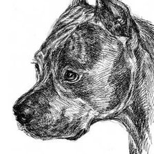 Схема вышивки «амстаф»