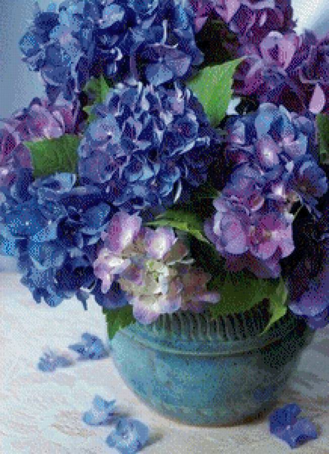 №480424 - растение, природа, цветы - предпросмотр