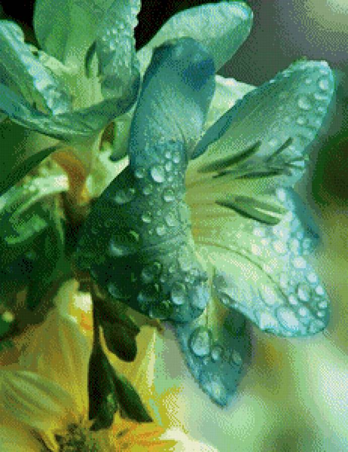 №480428 - цветы, растение - предпросмотр