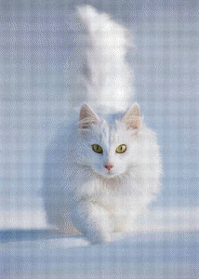 №480437 - кошки, природа, животные, снег - предпросмотр