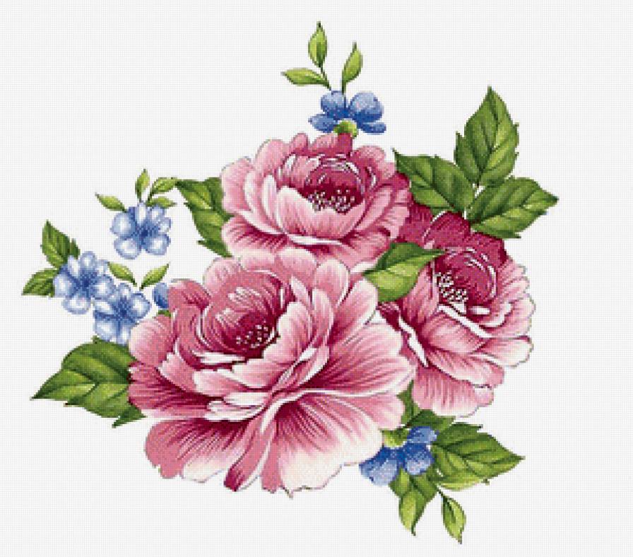 Прекрасные цветы - cveti - предпросмотр