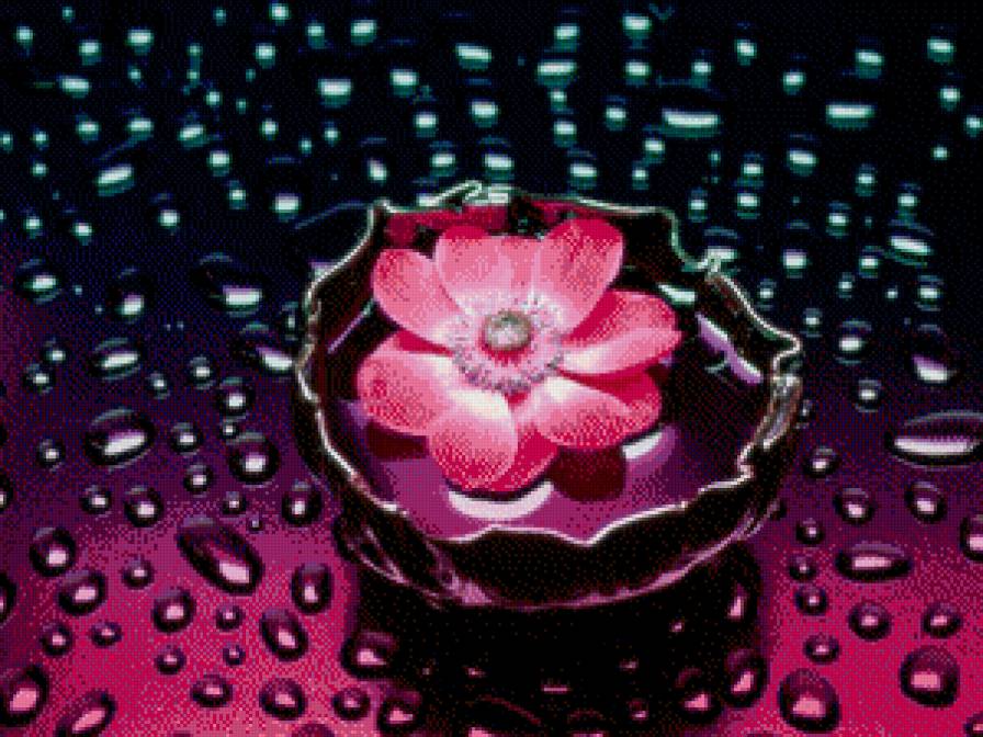 Цветок в каплях - предпросмотр