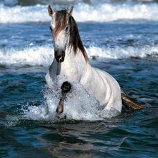 Схема вышивки «конь 22»