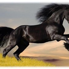 Схема вышивки «Конь»