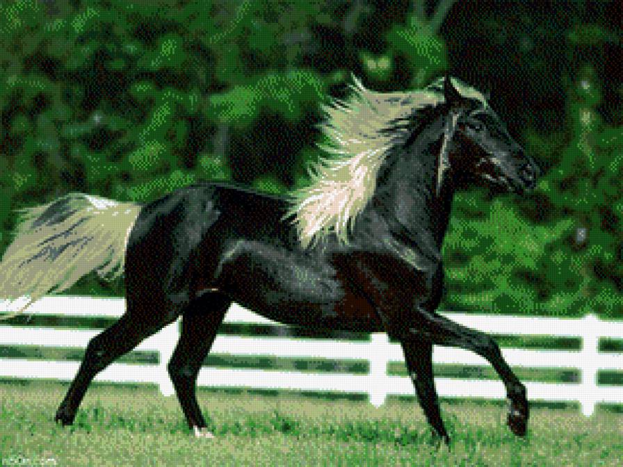 №480642 - предпросмотр