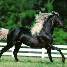 Схема вышивки «№480642»