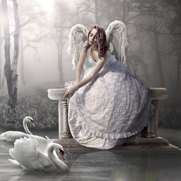 лебединое озеро - ангел, девушка, лебедь - оригинал