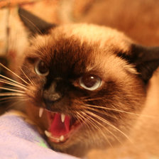 Схема вышивки «злая»