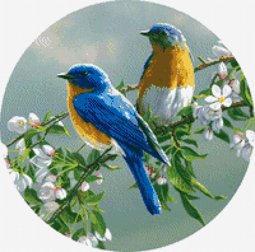 Птички на ветке - цветы, круглые, птицы - предпросмотр