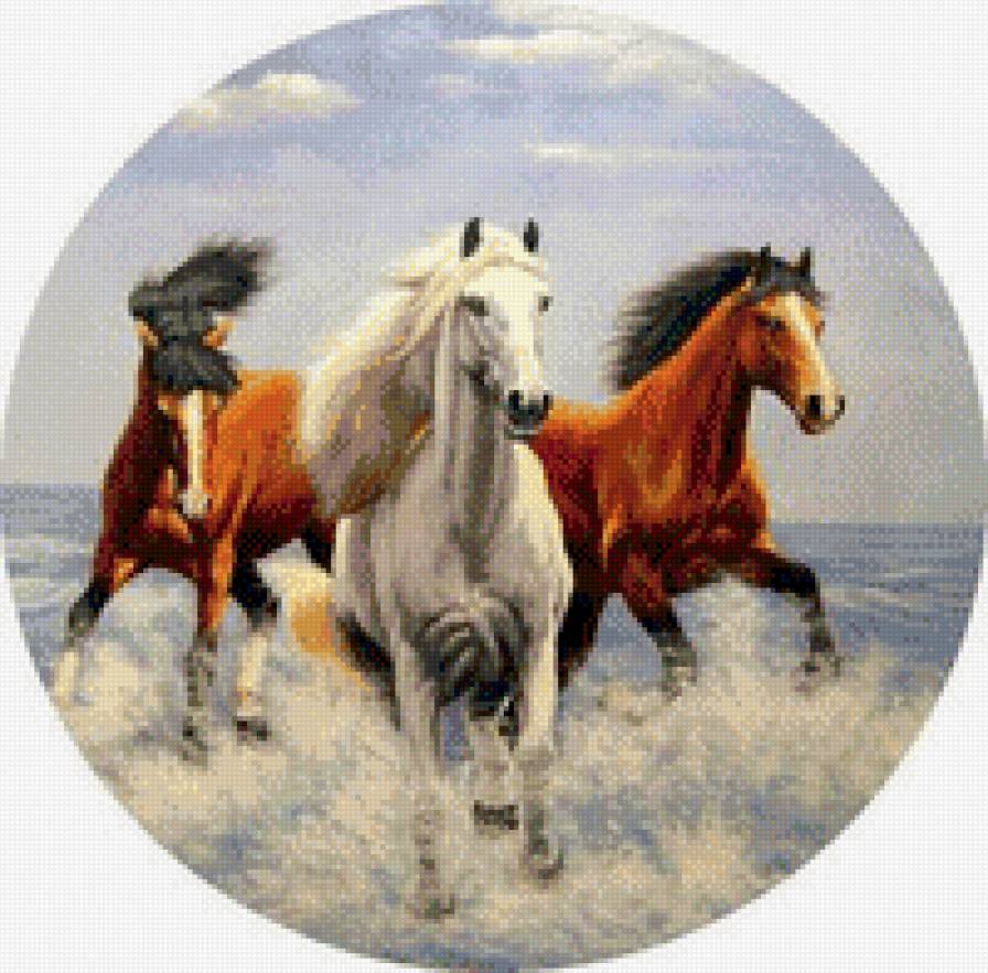 Шальная тройка - лошади, море, круглые - предпросмотр