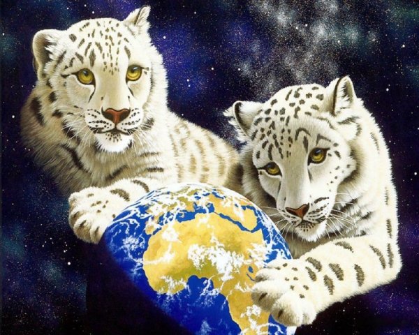 белые тигры - животные, тигры - оригинал