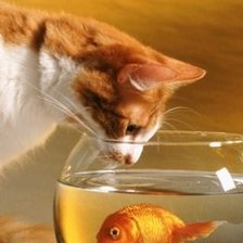 Схема вышивки «кот и рыбка»