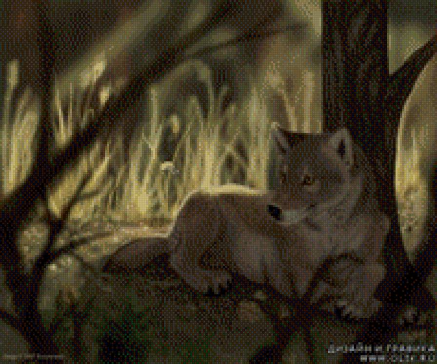 волк - предпросмотр