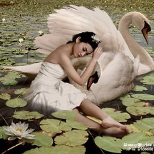 белая нежность