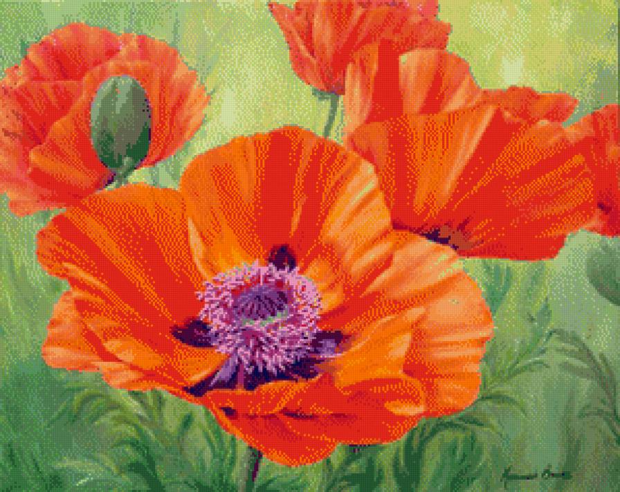 №481419 - предпросмотр