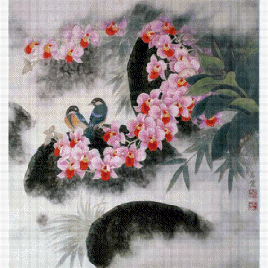 птички и орхидеи - предпросмотр