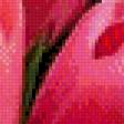 Предпросмотр схемы вышивки «тюльпаны» (№481590)