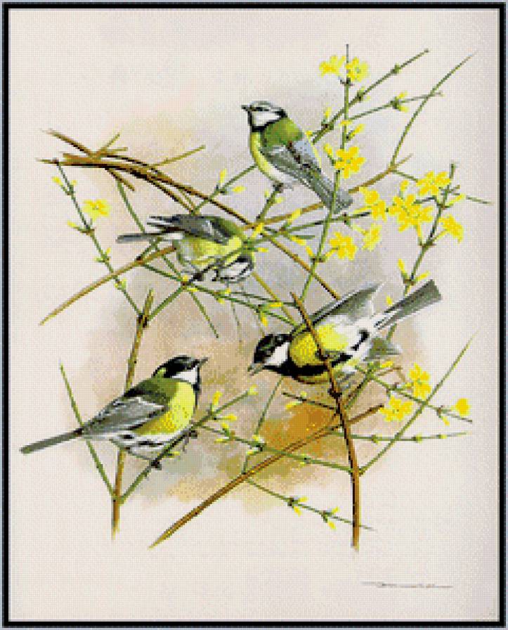 Серия "Птицы" - синицы, птицы - предпросмотр