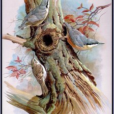 Схема вышивки «Серия "Птицы"»