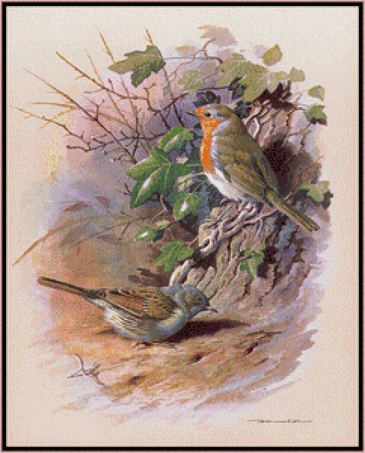 Серия "Птицы" - лес, птицы - предпросмотр