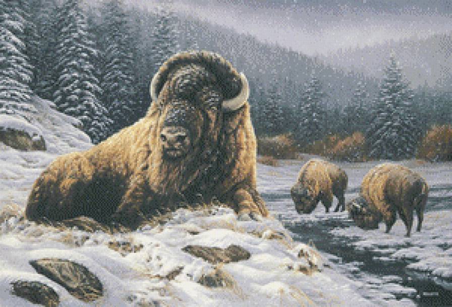 Серия "Пейзажи" - пейзаж, животные, бизоны, река, зима - предпросмотр