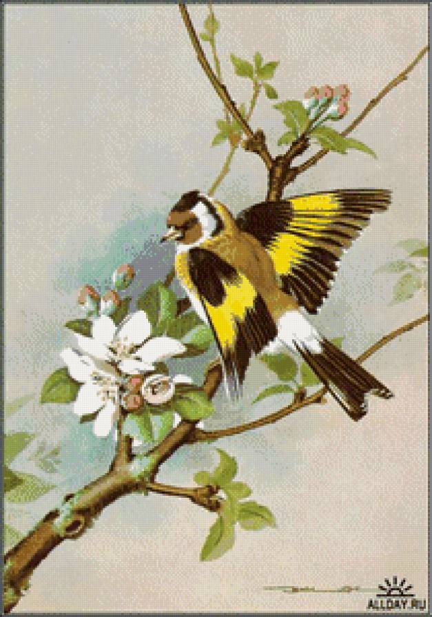 Серия "Птицы" - птицы, цветы - предпросмотр
