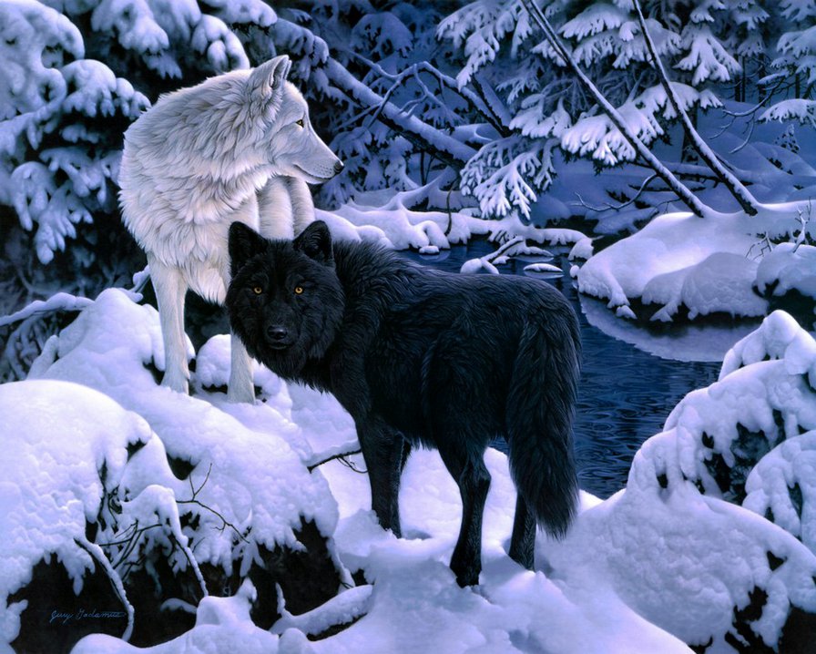 Серия "Волки" - волки, река, пейзаж, зима, животные - оригинал