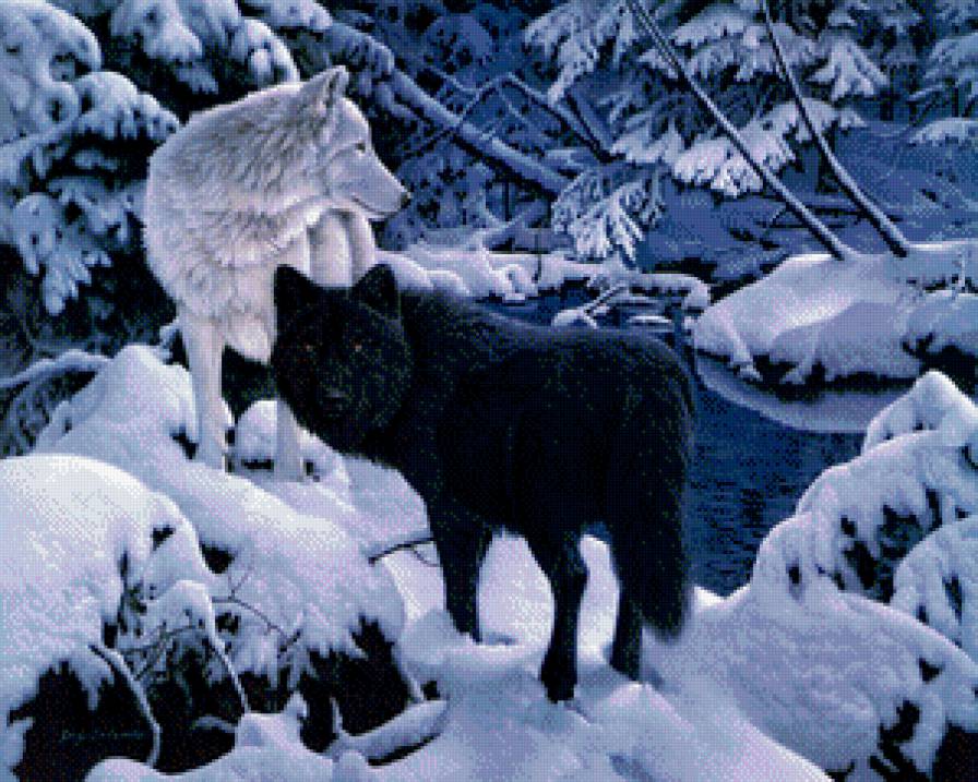 Серия "Волки" - пейзаж, река, животные, зима, волки - предпросмотр