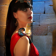 Схема вышивки «клеопатра»