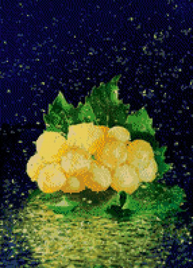 Виноград - предпросмотр